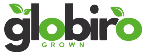 Globiro